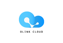 G口大带宽德国vps服务器_OLink Cloud德国法兰克福机房vps月付$5起