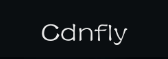 Cdnfly-WAF防御系统-Cdnfly高防CDN搭建-Cdnfly高防CDN系统供应商-云搜网